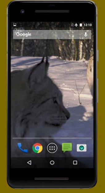 Imagen 3 para Lynx Video Live Wallpaper