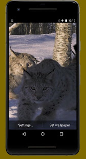 Imagen 1 para Lynx Video Live Wallpaper