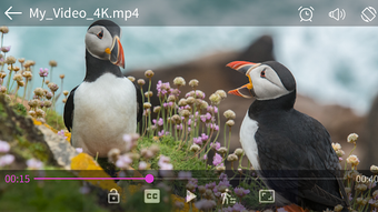 Imagen 0 para video player