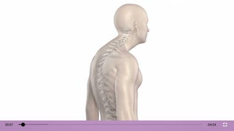 Image 2 for 30 Day Posture Makeover