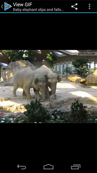 Imagen 0 para GIF Player