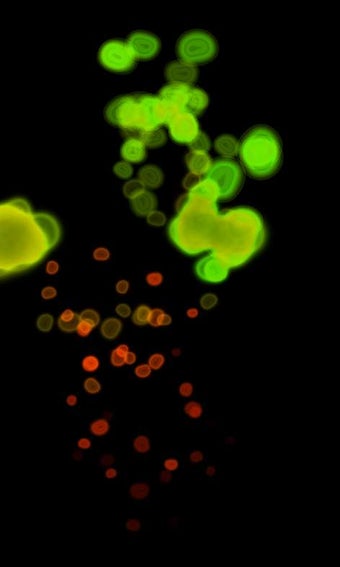 Image 2 for Magic Fluids for Windows …