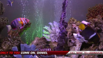 Image 3 for [adult swim]