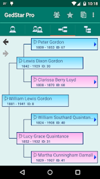 Image 2 for GedStar Pro Genealogy Vie…