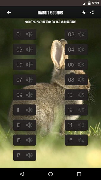 Image 0 for Rabbit and Bunny Sounds