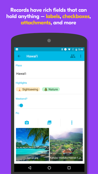 Imagen 1 para Airtable