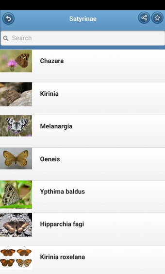 Image 1 for Butterflies