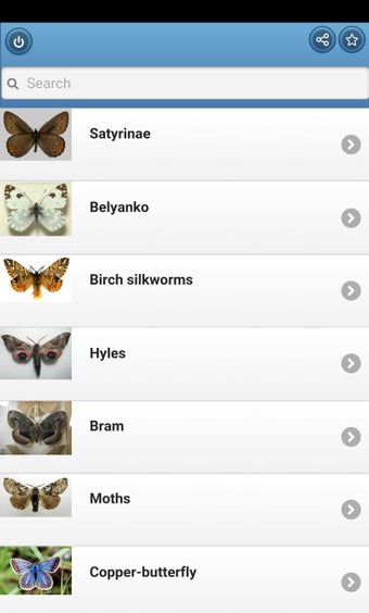 Image 0 for Butterflies