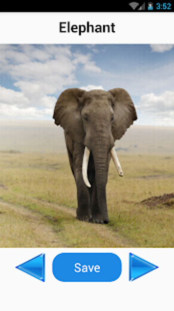 Image 2 for Animal Sounds
