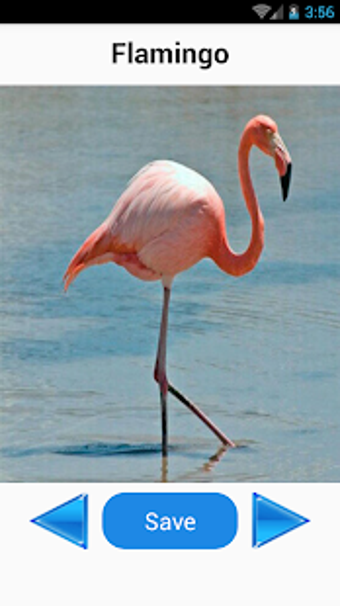Image 0 for Animal Sounds