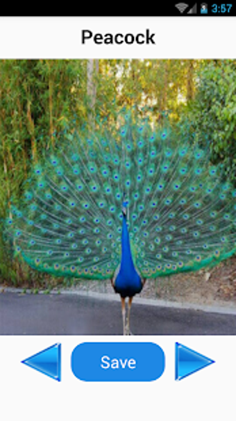 Image 1 for Animal Sounds