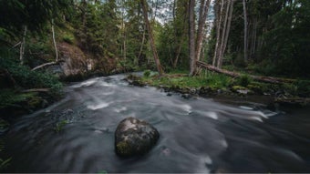 Image 1 for Screen Saver Gallery for …