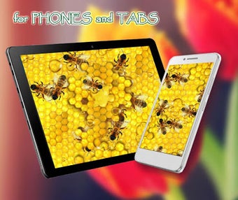 Image 1 for Honey and Bee live wallpa…