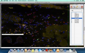 Imagen 2 para Cell Tally