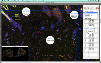 Imagen 3 para Cell Tally