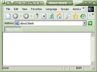 Image 9 for SlimBrowser