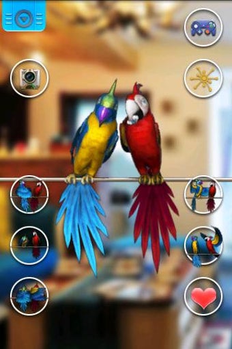 Image 0 for Talking Parrot Couple Fre…
