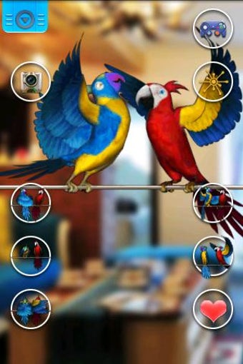 Image 2 for Talking Parrot Couple Fre…