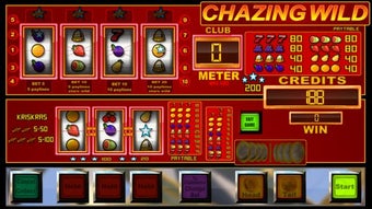 Image 2 for slots CHAZING WILD