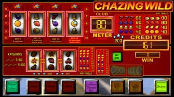 Image 0 for slots CHAZING WILD