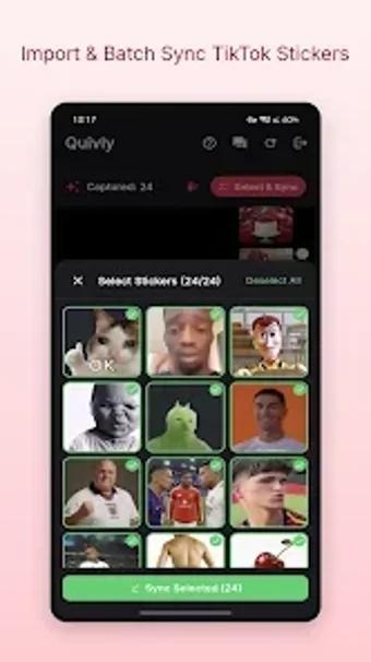 Imagen 0 para Quivly - TT Sticker Expor…