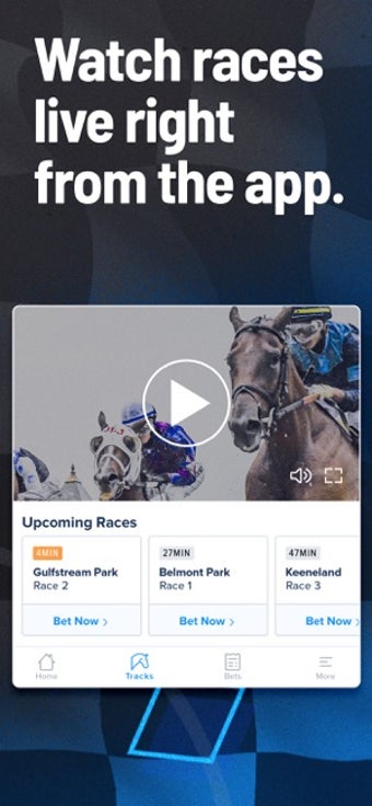 Image 1 for FanDuel Horse Racing