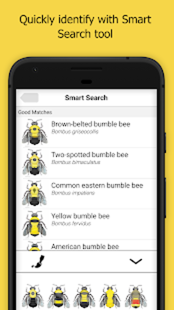 Image 3 for Bumble Bee Watch