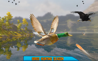 Image 1 for Desert Birds Hunting Shoo…