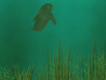 Image 0 for Manatee Cove