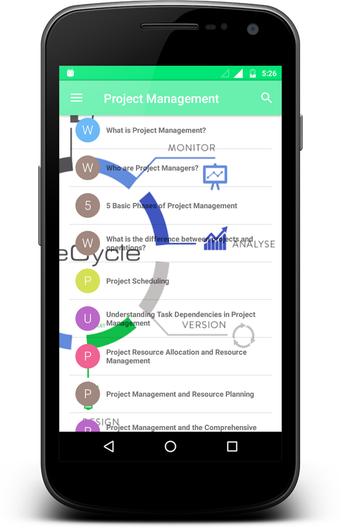Imagen 2 para Project Management