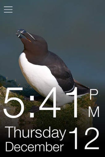 Image 0 for Daily Bird - the beautifu…