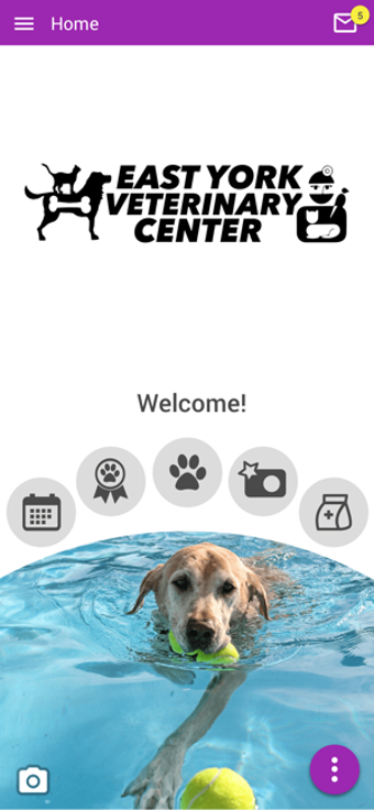 Image 0 for East York Veterinary Cent…