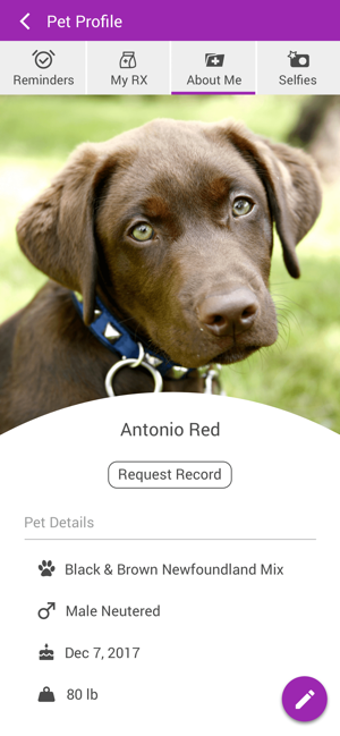 Image 3 for East York Veterinary Cent…