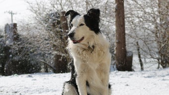 Image 0 for Min Tiers for MORDHAU