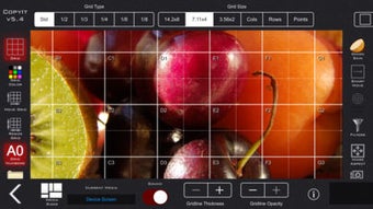 Image 2 for CopyIt - The Grid Drawing…