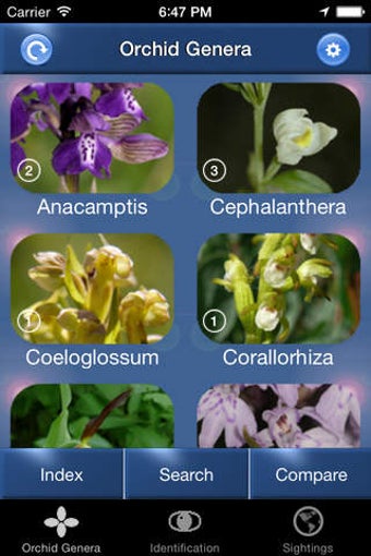 Image 0 for Orchid Id - The British O…