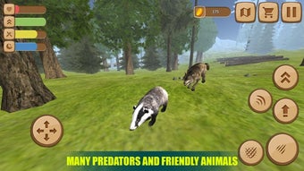 Image 0 for Badger Simulator 3D