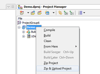 Image 0 for TMS Project Manager (Delp…