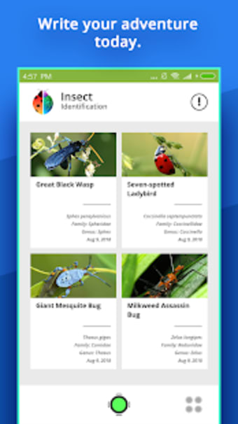 Image 0 for Insect Identifier