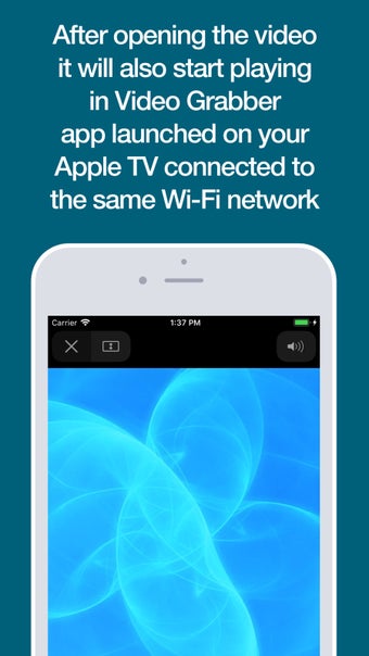 Imagen 2 para Video Grabber