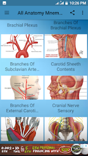 Image 0 for All Anatomy Mnemonic