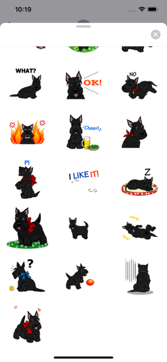 Image 1 for Animated Adorable Scottie…