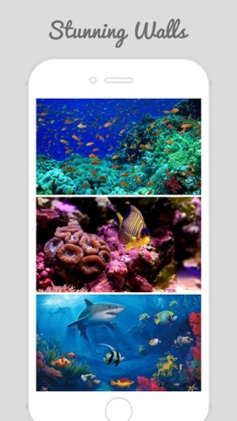 Image 3 for Underwater World Wallpape…