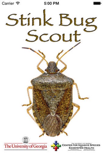 Image 0 for Stink Bug Scout
