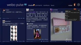 Imagen 0 para Weibo Pulse for Windows 1…