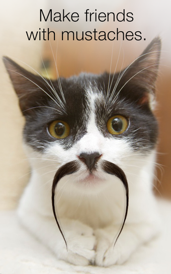 Image 2 for Stacheify - Grow a Mustac…