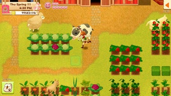 Image 0 for Harvest Moon: Light of Ho…