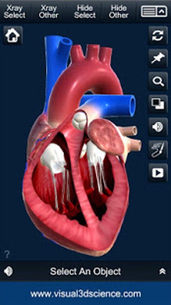 Imagen 2 para My Heart Anatomy