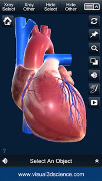 Imagen 3 para My Heart Anatomy
