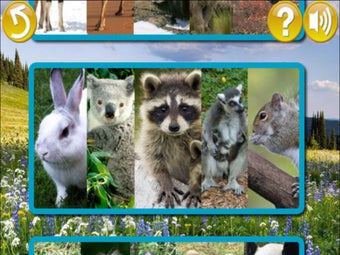 Image 6 for Learn for fun - Zoo [Lite…
